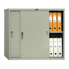 DOKUMENTU SKAPIS AMT 0891